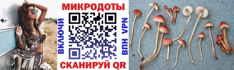 цены наркотик Правдинск OMG Галлюциногенные грибы мицелий